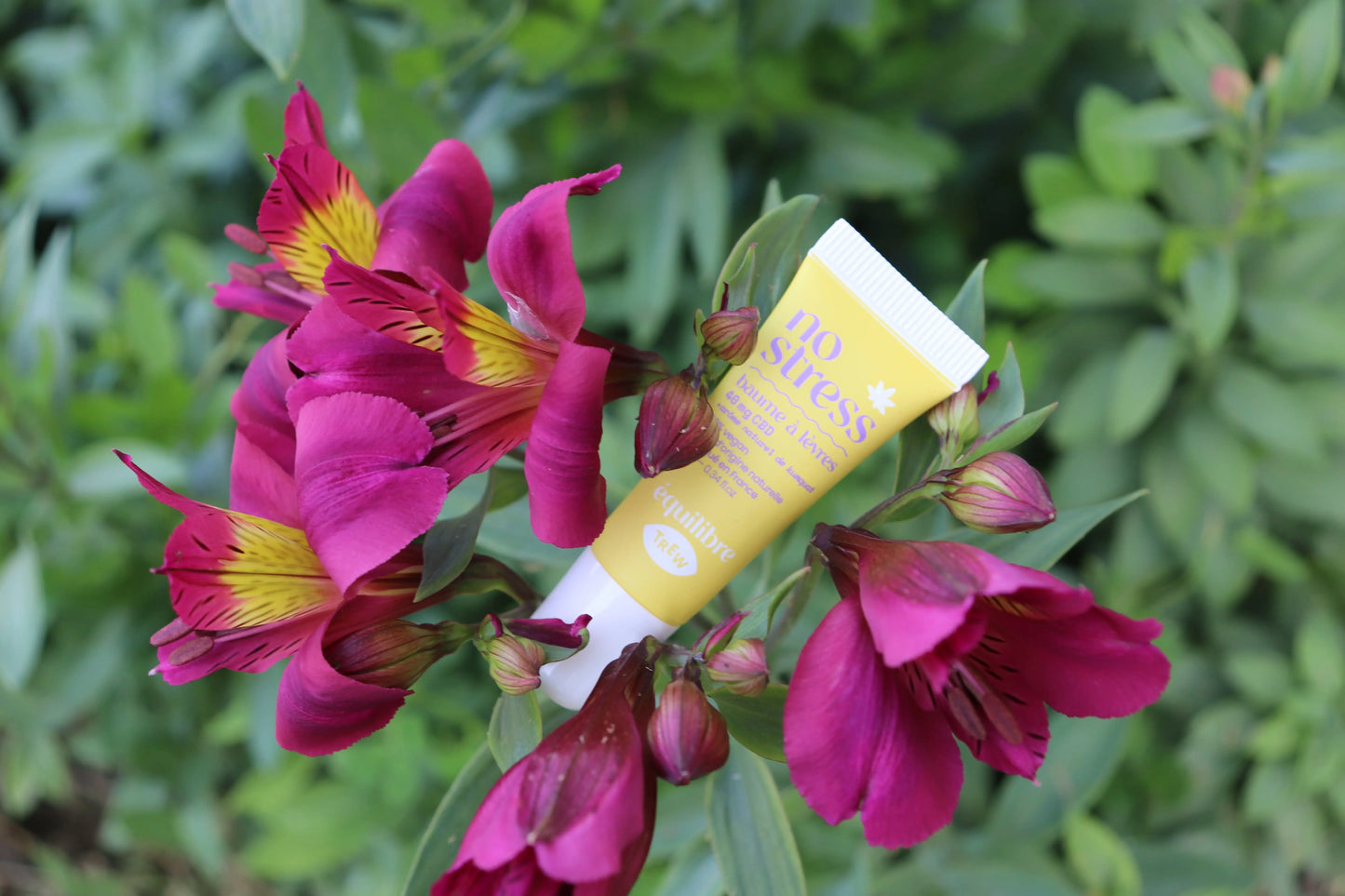 Baume CBD kumkat Ma Joly Savonnerie